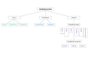 joints flow chart