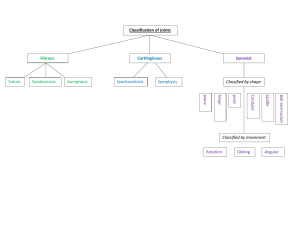 joints flow chart