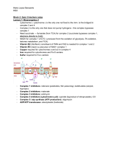 Key points biochem Block 2