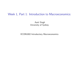lecture slides-Macroeconomics