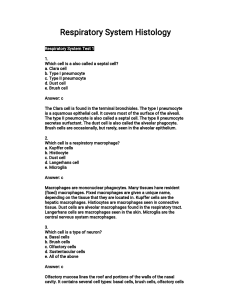 Test bank histology(1)