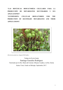 Hepáticas: Biofactorías Celulares y Metabolitos Secundarios