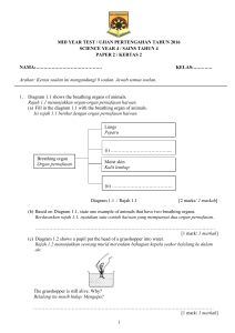 AR2 SCIENCE YEAR 4 PAPER 2