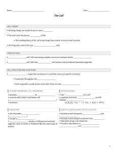 Cell Biology Worksheet: Theory, Structure, Function