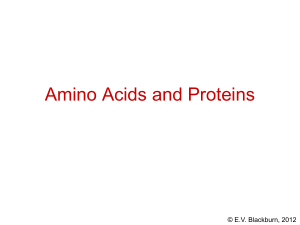 Amino Acids And Proteins