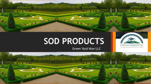 SOD GRASS TYPES | Green Yard Now LLC