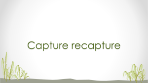 Capture Recapture