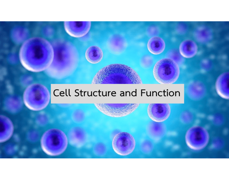 cell