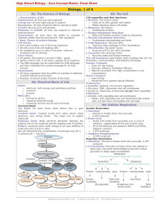 Bio Cheat Sheet Master