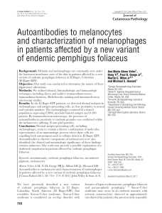 Antibodies to melanocytes El bagre-EPF