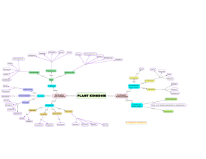Mind-map-CBSE-Class-11-Chapter-3-Plant-Kingdom