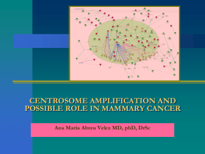 CENTROSOME AMPLIFICATION AND POSSIBLE ROLE IN MAMMARY CANCER a