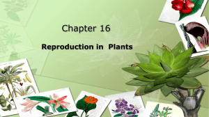 Chapter 16 Reproduction in Plants - Part 3