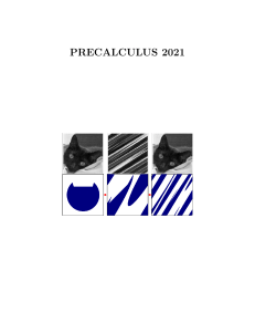 Precalculus 2021 draft July 19