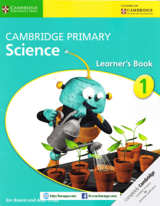 Cambridge Primary Science 1 Learner 39 s Book