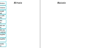 Mitosis vs Meiosis Card Sort