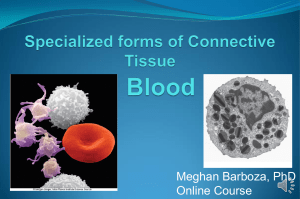 Barboza Histology Lecture 10 blood