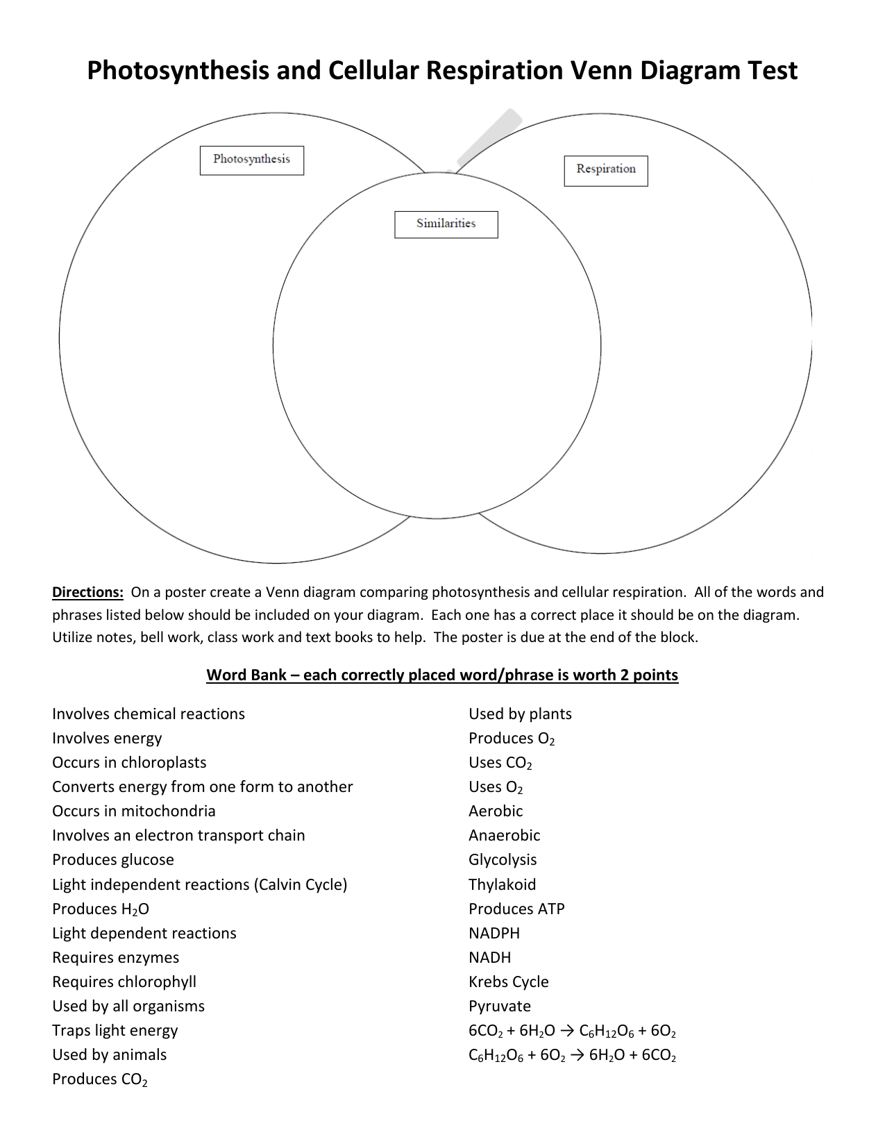 37 Photosynthesis And Cellular Respiration Venn Diagram Wiring 