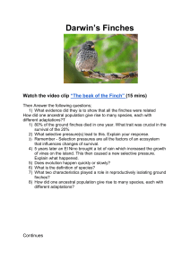 Darwin’s Finches movie and questions. 