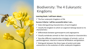 L3 Biodiversity 4 eukaryotic kingdoms 2021 A (3)