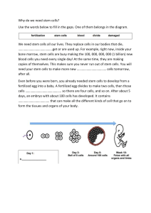 Why do we need stem cells student activity