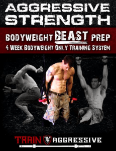 353262988-Aggressive-Strength-Bodyweight-BEAST-Program