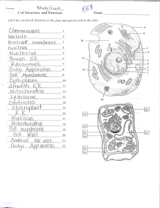  cell study guide 001