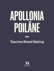 Apollaine Class Workbook