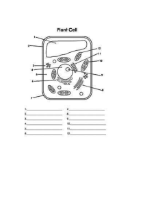animal cell label