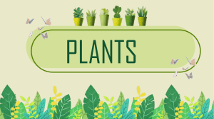 plants-activities-with-music-songs-nursery-rhymes 137162