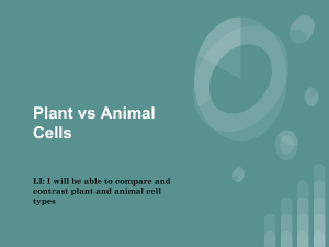 Plant vs Animal Notes