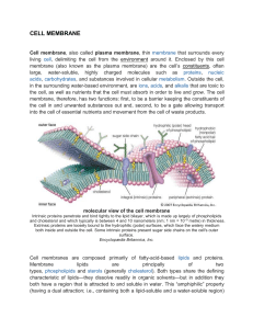 CELL MEMBRANE BIOCHEMISTRY