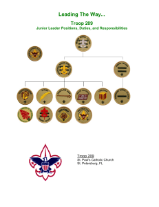 BSA Leadership roles and requirements (Guide)