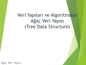 Veri Yapıları ve Algoritmalar 9