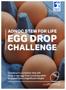 Egg Drop Challenge Guide - ENGLISH