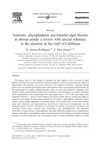 Shrimp Pond Algal Blooms: Nutrients & Phytoplankton Review