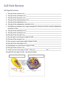 Cell Unit Review