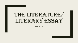 The literature essay