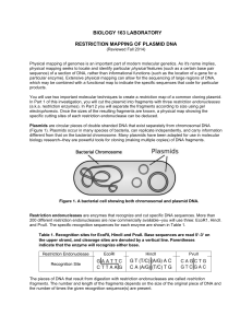 358329350-Restriction-Mapping-of-Plasmid-DNA