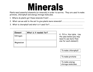 minerals worksheet