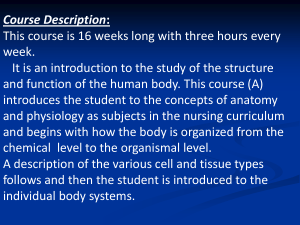Introduction-of-Anatomy