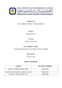 Multimedia Project Management Assignment 1