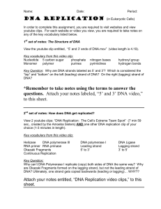 DNA Replicationwebquest