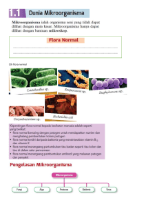 Dunia Mikroorganisma: Klasifikasi, Kepentingan, Pencegahan