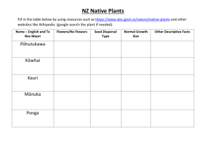 NZ Native Plants