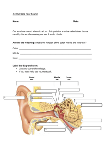 Ear: Hearing worksheet 