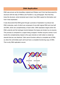 DNA replication texts