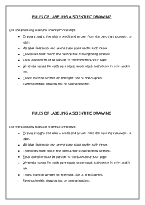 Rules of labelling a plant