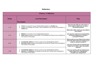 IDU Reflection Assessment Criteria