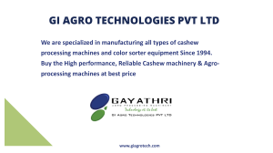Automatic Cashew Processing Machinery, Color Sorter Machine Manufacture and Global Supplier | GI Agro Technologies